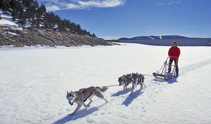 Vacances-passion - Le Chalet du Ticou** - Bolquère - Pyrénées-Orientales